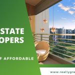 Real estate developers
